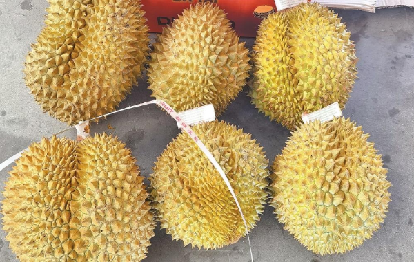 微信截图_20250709172612